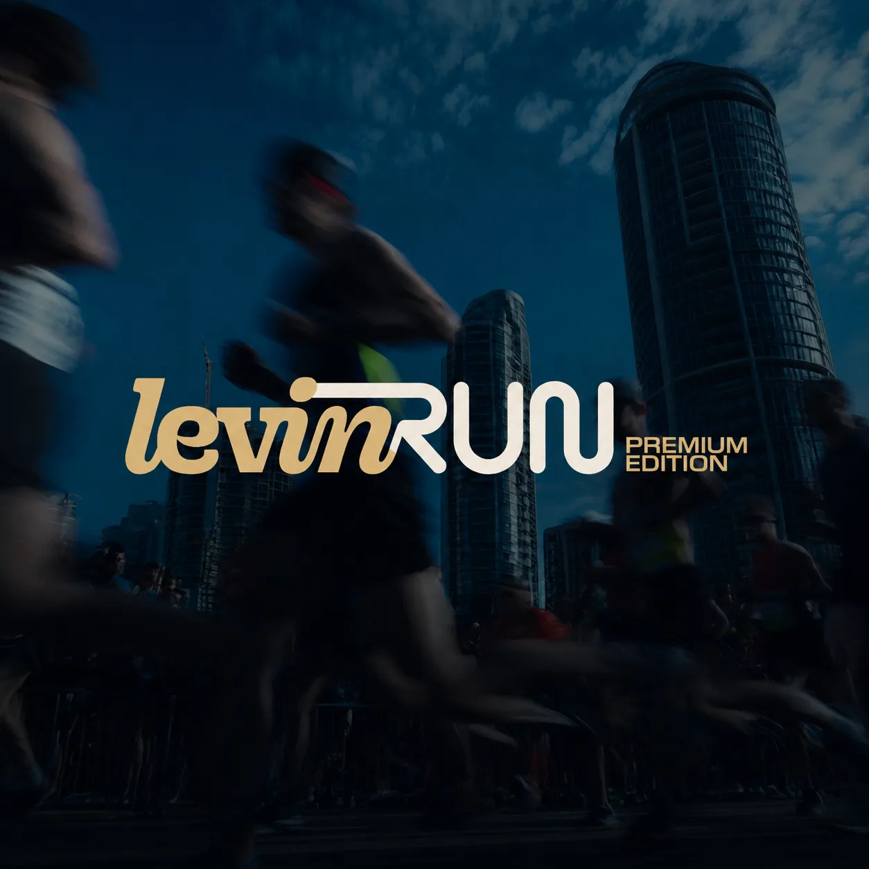 Capa do evento LEVIN RUN