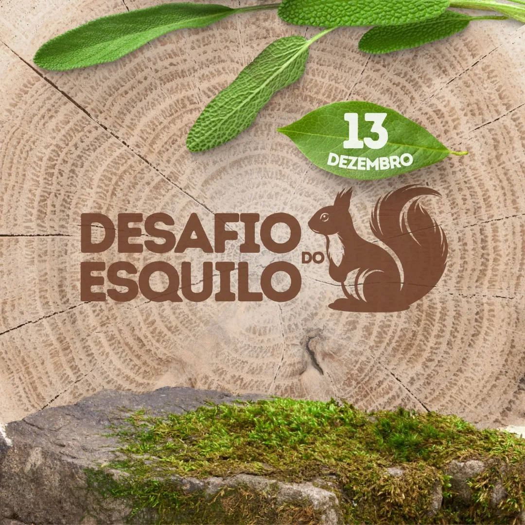 Capa do evento DESAFIO DO ESQUILO - Corrida Ecológica